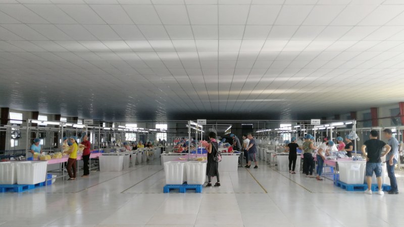 森榮手袋越南工廠正式投產(chǎn)實(shí)景拍攝 森榮手袋越南工廠正式投產(chǎn)實(shí)景拍攝